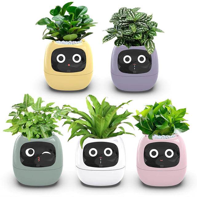 Smart AI Plant Pot Vox Megastore Indoor Gardening smart-ai-plant-pot-vox-megastore-indoor-gardening