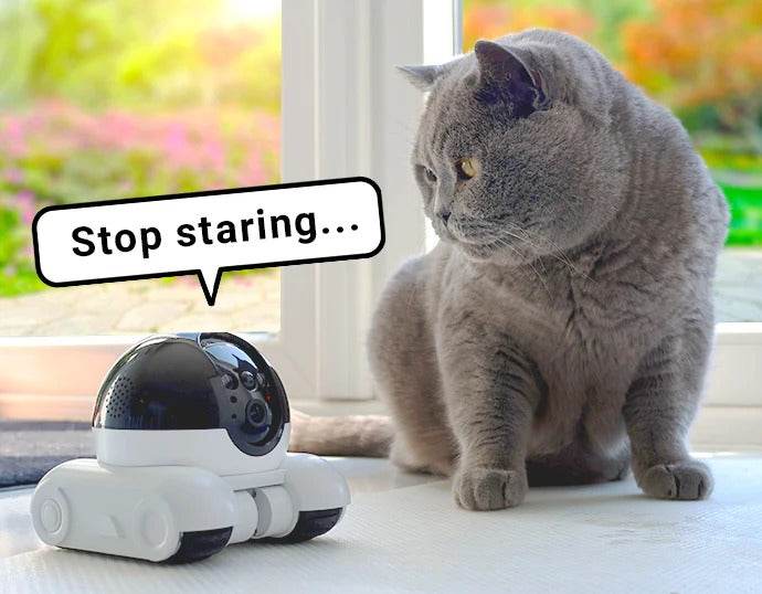 VOX Mini Pet Bot - Vox Megastore  
