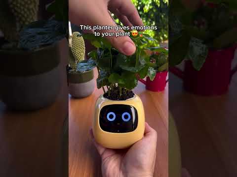 Smart AI Plant Pot